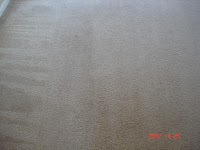 N.J.Sealey Carpet Cleaning 359528 Image 2
